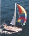 Com-Pac 35 under Spinnaker - Photo of Com-Pac 35 sail boat